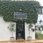 All about my visit to McGee & Co.