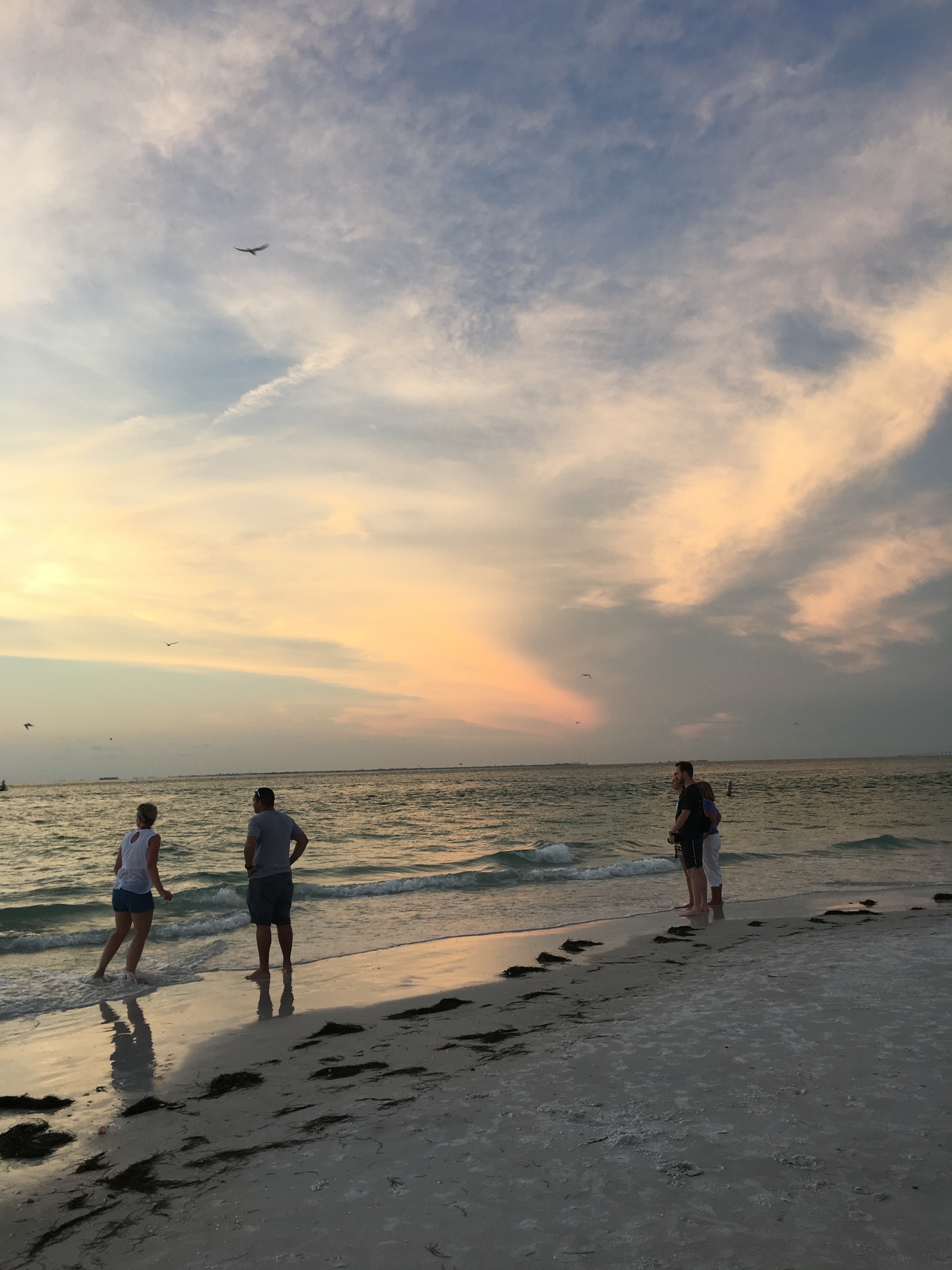 5 Reasons to Visit Anna Maria Island, Florida. Where to eat, where to stay and which beaches to visit. #florida #beaches #annamariaisland