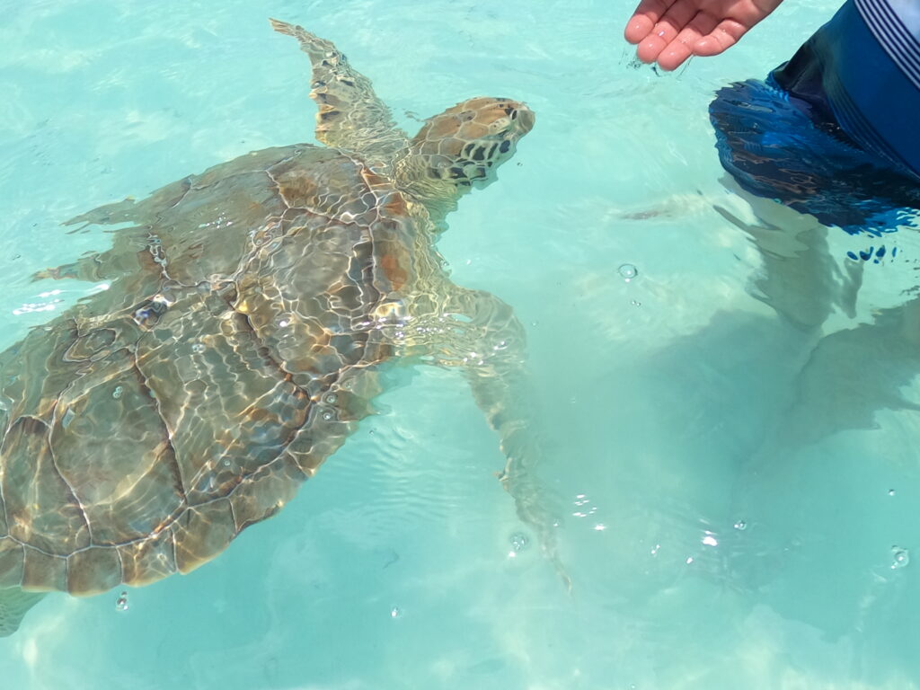 Exuma, Bahamas Ultimate Trip Guide Newport Lane